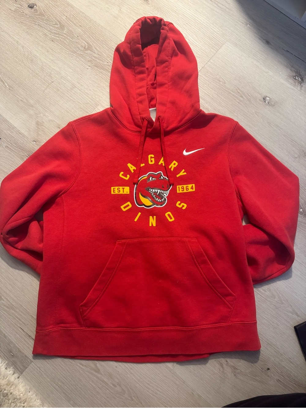 Nike Kids' Red Calgary Dinos Pullover Hoodie